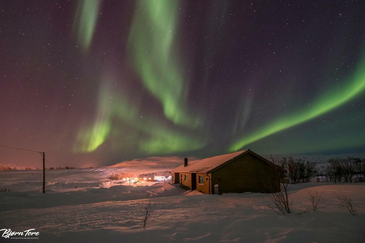 Luksushytte I Kokelv Exterior foto
